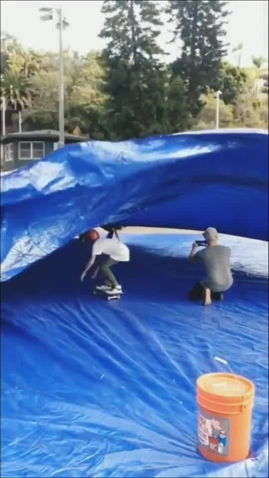 动物帮帮忙保卫家园